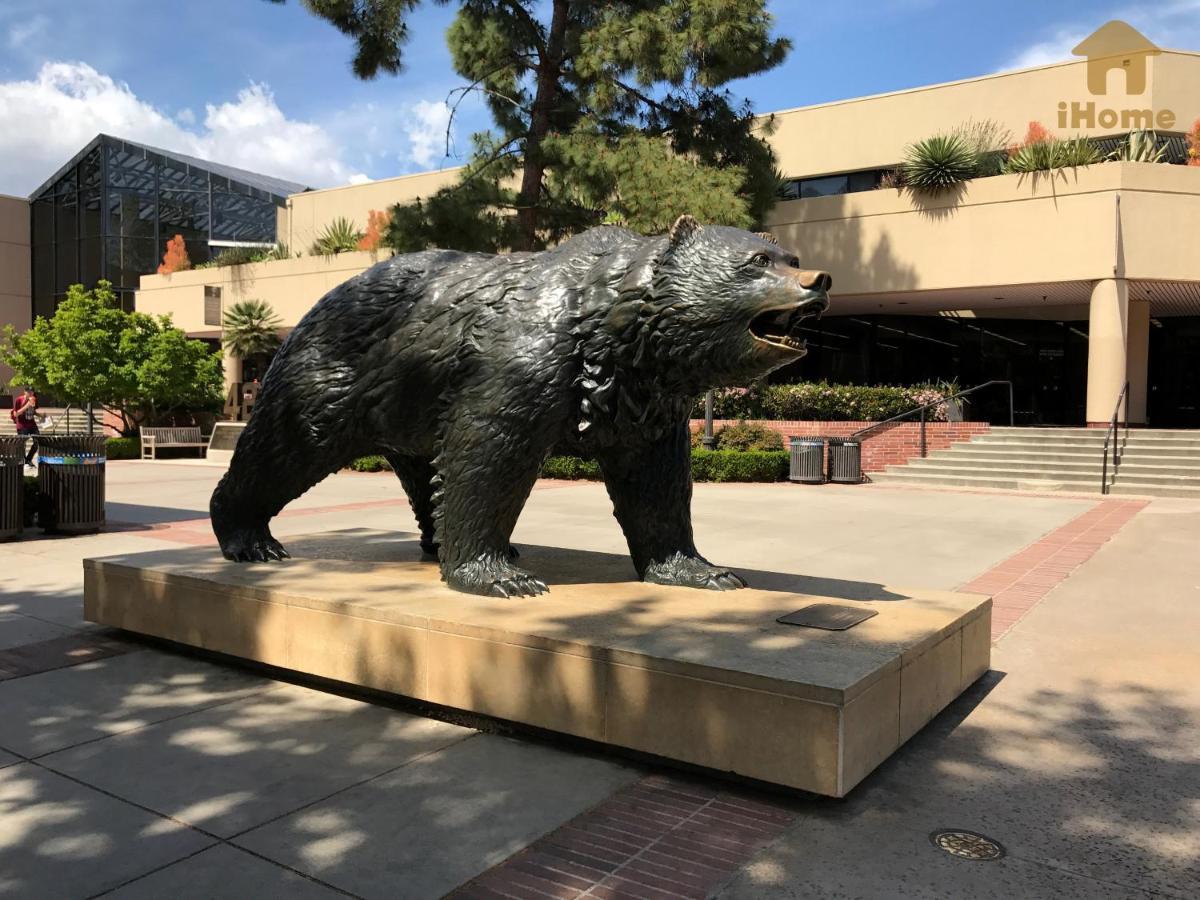 "Resort Style Amenities Walk To Ucla" W Pool & Parking B2 Los Angeles Kültér fotó